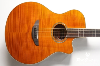APX-600FM - Amber